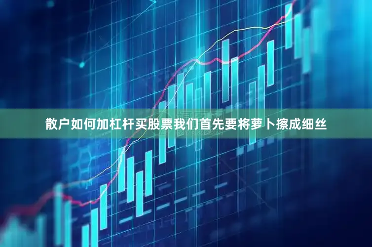 散户如何加杠杆买股票我们首先要将萝卜擦成细丝